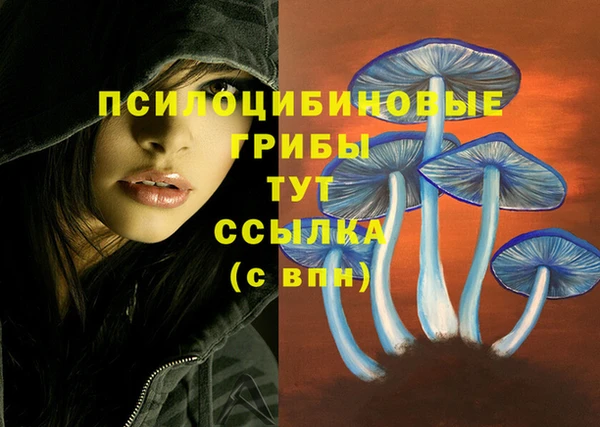 крисы Балабаново