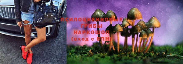 крисы Балабаново