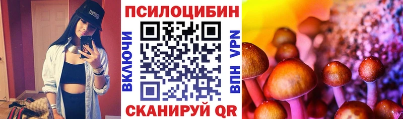 Псилоцибиновые грибы Psilocybine cubensis  цены наркотик  Зима 